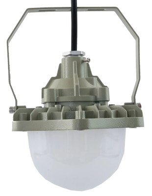 100W di prova di esplosione High Bay Light AC220V 50/60Hz IP66 con 70±2CRI Nuovo design prodotti più venduti Price Workshop