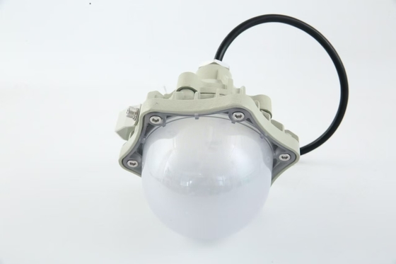 Fabbricazione a prova di esplosione per la zona1/2%21/22, GYD8201-DG 30-50W AC220V,50/60Hz,IP66