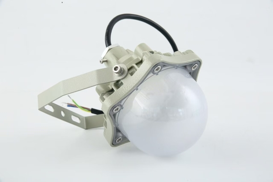 100W di prova di esplosione High Bay Light AC220V 50/60Hz IP66 con 70±2CRI Nuovo design prodotti più venduti Price Workshop