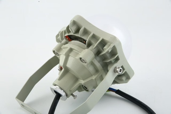 100W di prova di esplosione High Bay Light AC220V 50/60Hz IP66 con 70±2CRI Nuovo design prodotti più venduti Price Workshop