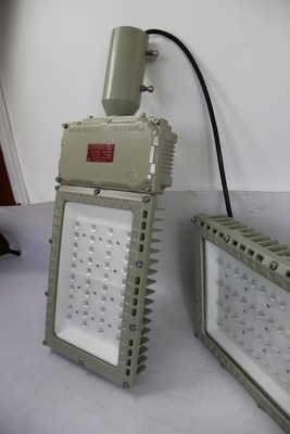 50W GYD9701 Luce a LED a prova di esplosione 130lm/W Laboratorio dell'industria chimica Ip66 impermeabile