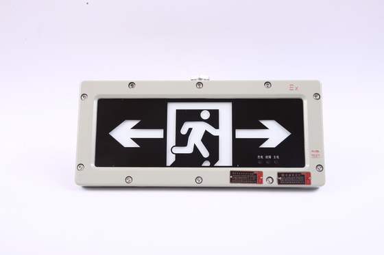 BYY-3w-IP65 Lampada di emergenza ignifuga 120 minuti LED 220VAC 24/36VDC 3000/4000/5000/5700K