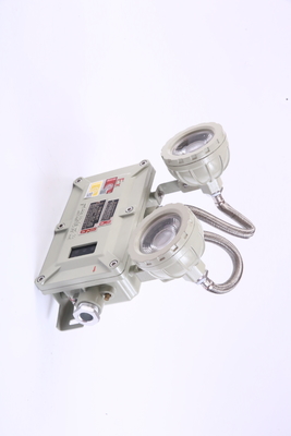 Luce di emergenza a parete o soffitto ignifuga con 90/120/180 min 2*5w