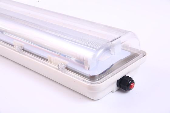 9-54W Lampada fluorescente lineare a prova di esplosione con WF2 anti-corrosione per la zona 1 zona 21