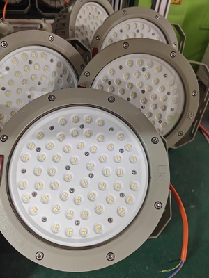 WF2 Casing in lega di alluminio a prova d'esplosione