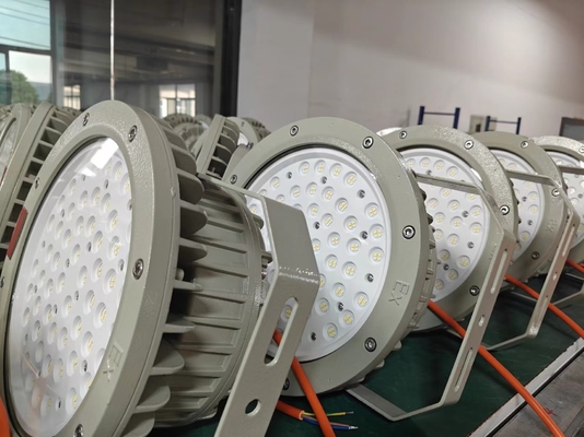 WF2 Casing in lega di alluminio a prova d'esplosione