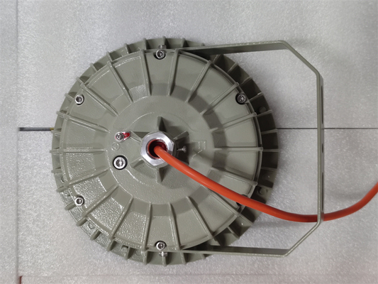 WF2 impermeabile IP66 resistente alle esplosioni High Bay Light Aluminum Alloy 100w con ATEX