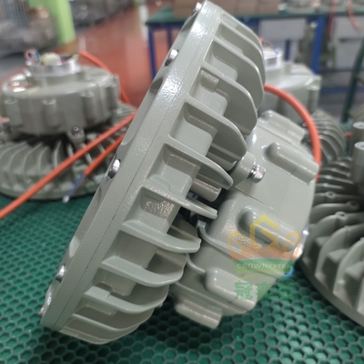 Luce a prova di fiamma di alto profilo, certificata ATEX, IECEx, RoHS per stazioni di servizio delle raffinerie, zone 1, 2 e 21,22,100w