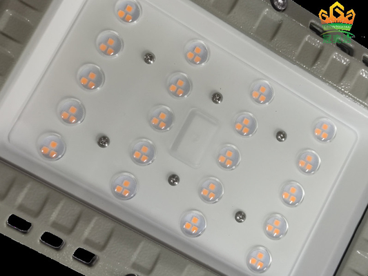 Luce di strada a LED certificata ATEX per la zona 1 2 21 22 con CCT 5000K-5700K