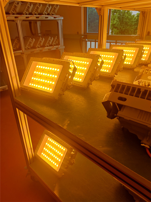 50W 100W 200W 250W Luce LED a prova di esplosione inondazione certificata ATEX IECEx RoHS CNEX ISO9001