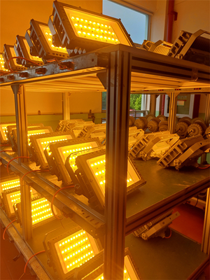 50W 100W 200W 250W Luce LED a prova di esplosione inondazione certificata ATEX IECEx RoHS CNEX ISO9001