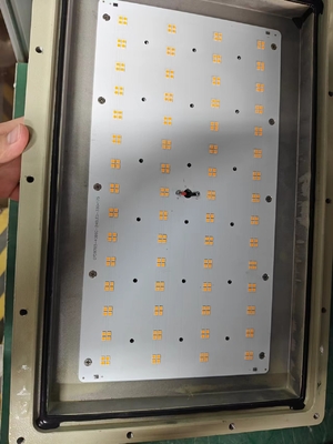 5000K-5700K Luce a prova di esplosione a LED con montatura a staffa ad alta CRI