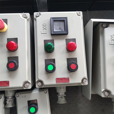 Controllo a prova di fiamma con protezione IP66/WF2 per ambienti pericolosi