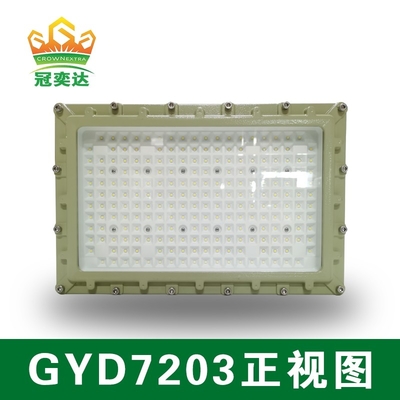 Luce a LED a prova di esplosione a tensione AC100-277V 250w e livello di protezione IP66 per gas di petrolio e aree industriali