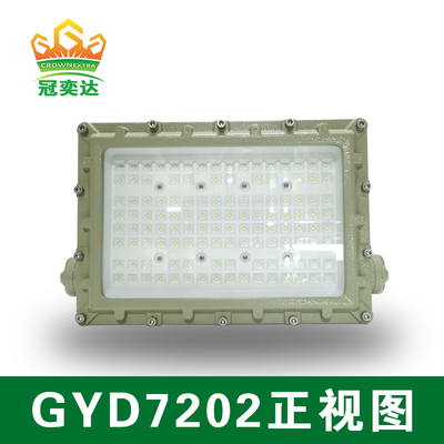 Luce a LED a prova di esplosione a tensione AC100-277V 250w e livello di protezione IP66 per gas di petrolio e aree industriali