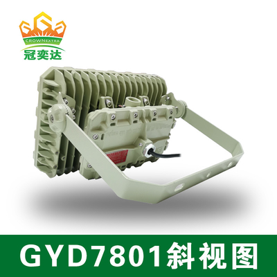 Divisione2 22 Lampade a LED ignifughe CREE per ciondolo