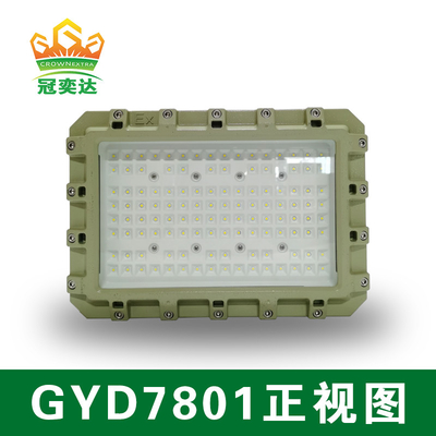 ATEX luci a LED a prova di esplosione con durata di vita di 50000 ore IP66 WF2 Protezione IECEx certificato