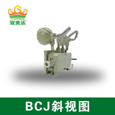 Luce di emergenza antideflagrante per montaggio a parete/soffitto con alluminio di grado marino e 2*3Watt