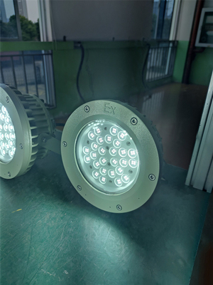 Ex Proof High bay Light 180lm/w ATEX resistente alla corrosione IP66 Led Outdoor Ceiling Light 50W-250W
