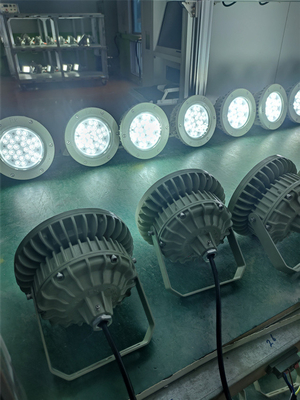 Ex Proof High bay Light 180lm/w ATEX resistente alla corrosione IP66 Led Outdoor Ceiling Light 50W-250W