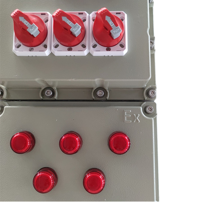 IP66 a prova di fiamma Ex Db Eb IIC T6 Gb Ex Tb IIIC T80.C Db Pannello di controllo in alluminio montato a parete