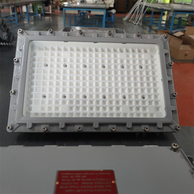 Luce a prova di esplosione Anti corrosione CREE LED proiettore con driver MEANWELL 145Watt 160lm/w