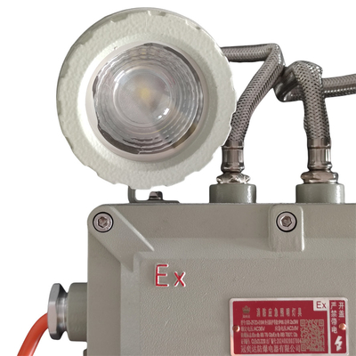 Zona pericolosa 1 Lampada a prova di esplosione industriale IP66 WF2 5 Watt 90-180 min