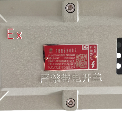 Zona pericolosa 1 Lampada a prova di esplosione industriale IP66 WF2 5 Watt 90-180 min