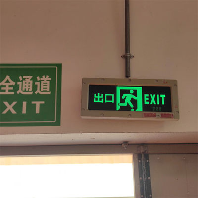 Segnaletica di uscita a LED con tempo di emergenza di 180 minuti di grado industriale IP66 per ambienti pericolosi con funzione di illuminazione di emergenza