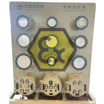 ATEX pannelli di distribuzione dell'energia di illuminazione a prova di esplosione IP66 a prova di corrosione per zone marine/offshore pericolose 1