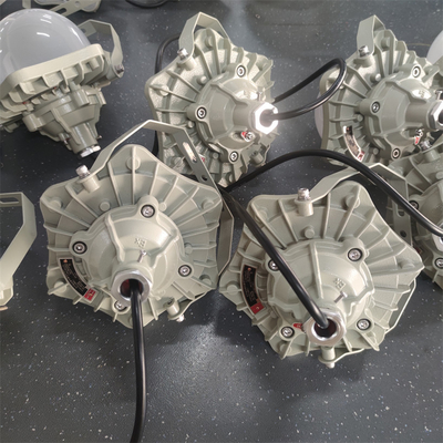 Piattaforma di esplosione Lampade a LED con protezione ATEX IP66 OEM Server 100lm/w