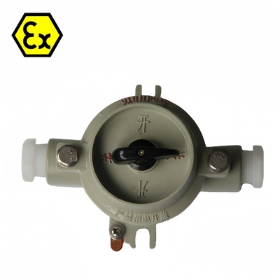 380/220VAC 10-60A interruttore a prova di esplosione impermeabile