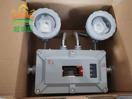 24-36VDC CCT 4500-6500K CRI ≥ 70 Luce di emergenza ignifuga personalizzabile Luce di emergenza ignifuga