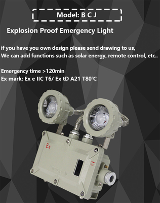 BCJ luci di emergenza a prova di esplosione LED con 50000h vita e OEM servizio
