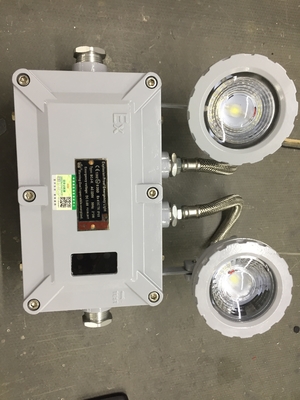 2*3W CCT 4500-6500K luce di emergenza LED a prova di fuoco con Ex Db Eb IIC T6 Gb/Ex Tb IIIC T80\u2103 Db
