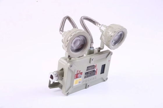 Illuminazione d'emergenza a prova di fiamma industriale da 2*3 Watt 220VAC 24/36VDC
