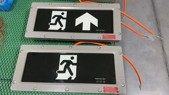 Luce di emergenza ATEX esente da manutenzione Zona 21 Zona 22 Efficiente a sicurezza intrinseca per materiali infiammabili