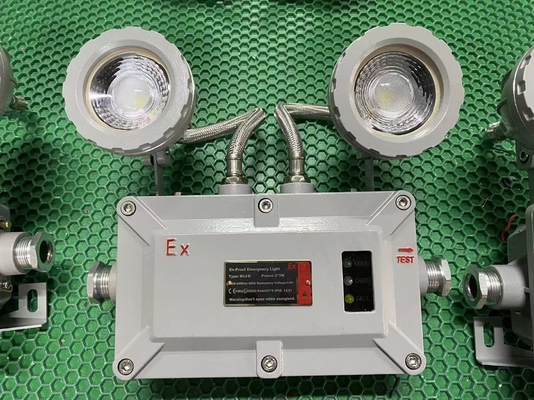Luce di emergenza ignifuga di lega di alluminio 2x3W