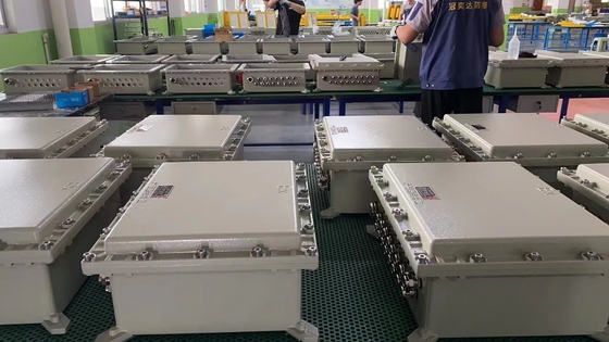 Tavola di distribuzione a prova di fiamma con IP66 WF2 e ingresso di cavo personalizzato