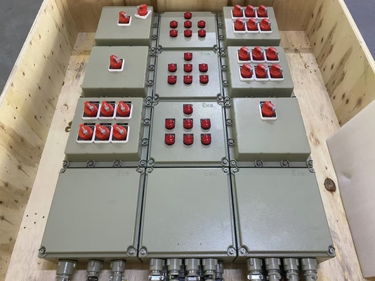Pannello a prova di esplosione da 2 mm con protezione IP54/IP65/IP66 e costruzione in acciaio al carbonio / alluminio
