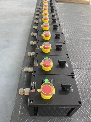 Livello di protezione pannelli di controllo a prova di esplosione a prova di fiamma per esigenze personalizzate In 2 mm