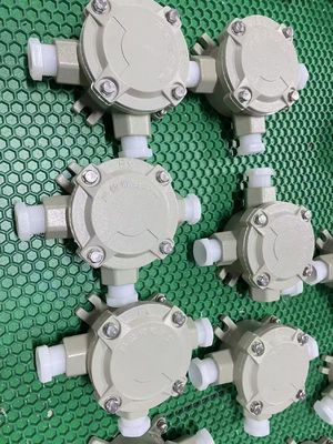 IP66 Cassa di giunzione a prova di esplosione in alluminio fuso Cassa di cablaggio a prova di fuoco Exd IIB IIC Personalizzata