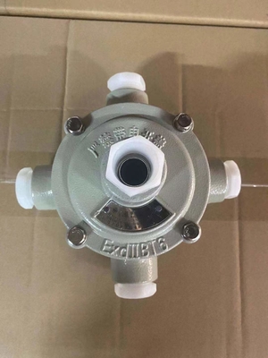 IP66 a prova di esplosione a prova d'acqua Casella di giunzione per installazione a parete G1/2 Cable entry con resistenza all'acqua