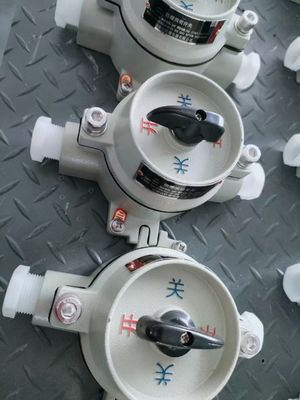 Interruttore elettrico a prova di esplosione 220V / 380V con zona grigia WF2 22