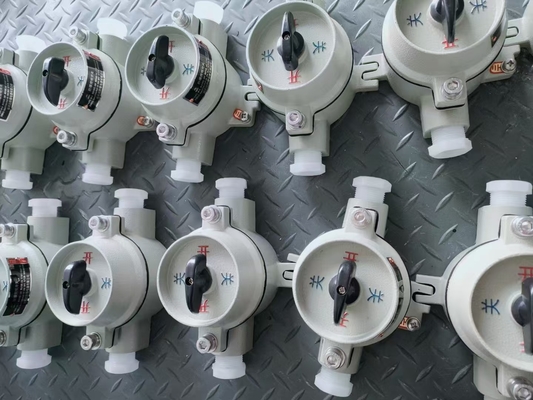 Interruttore a prova di esplosione a superficie 10A con protezione IP66 Ex Db IIC per l'ingresso del cavo G3/4
