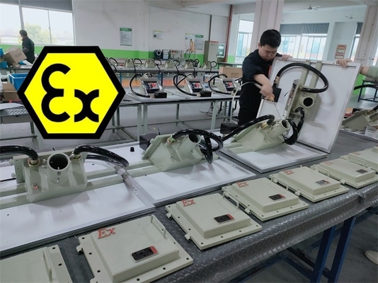 Proof di esplosione ATEX Soalr LED Street Light Lamp Luminaire 100 Watt