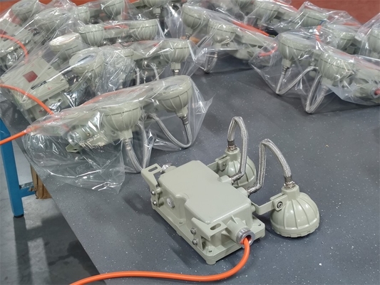 Zona 1 Luce d'emergenza ignifuga 2*5Watt Per applicazioni marine
