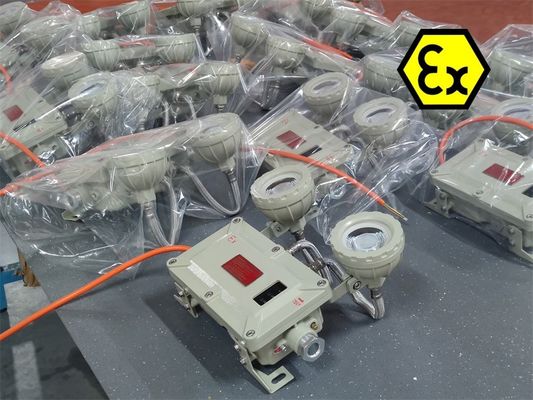 Luce di emergenza LED antideflagrante IP65 2x5W – Ricaricabile per aree pericolose