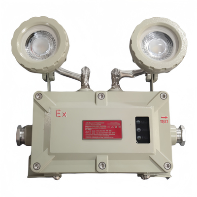 CCT 4500-6500K Luce di emergenza ignifuga BCJ Server OEM per situazioni di emergenza