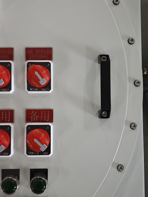 220V ATEX a prova di esplosione Illuminazione Pannelli di distribuzione di energia a prova di corrosione Box di montaggio a parete pannello a prova di esplosione personalizzabile